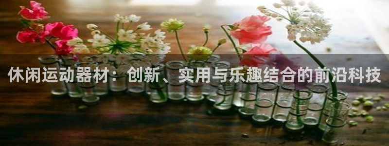熊猫体育官网下载招商电话地址查询：休闲运动器材：创新、实用与