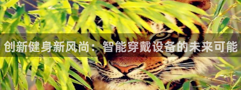 熊猫体育集团官网首页网址：创新健身新风尚：智能穿戴设